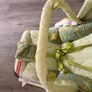 baby chair bouncer Image 4