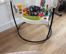 Fisher price bouncer