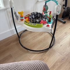 Fisher price bouncer