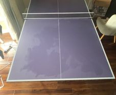 table tennis table