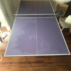 table tennis table