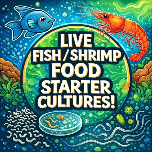 Live Fish/Shrimp Food Starter Cultures