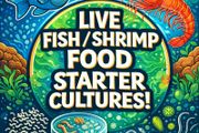 Live Fish/Shrimp Food Starter Cultures