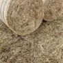 top quality hay Image 4