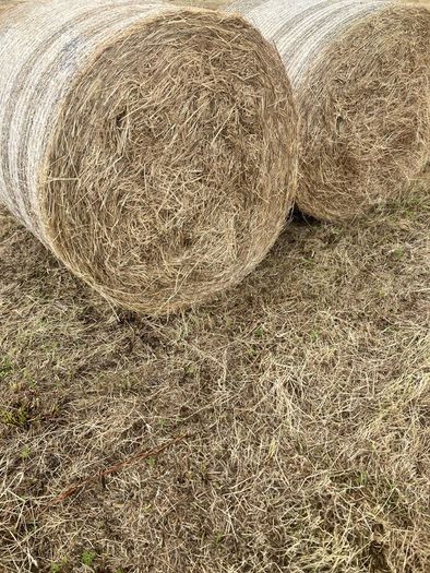 top quality hay