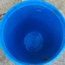 Plastic drum Image 2