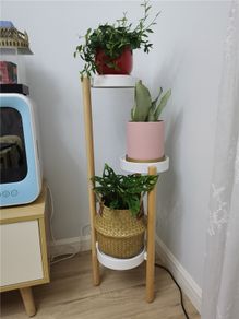 BRAND NEW Solid Wood Bedroom Garden Flower Pot Rack Indoor Balcony Living Room Floor Type Plant Shelf Hotel Lobby Cafe Plant Stands