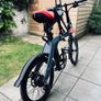 Fiido D11 Electric Folding Bike Image 6