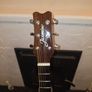 Jasmine acoustic guitar Image 2