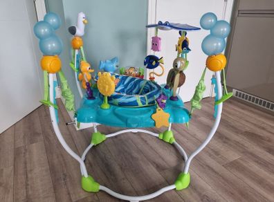 Baby Bouncer