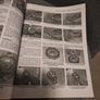 Pit Bikes Haynes Repair Manual Image 9