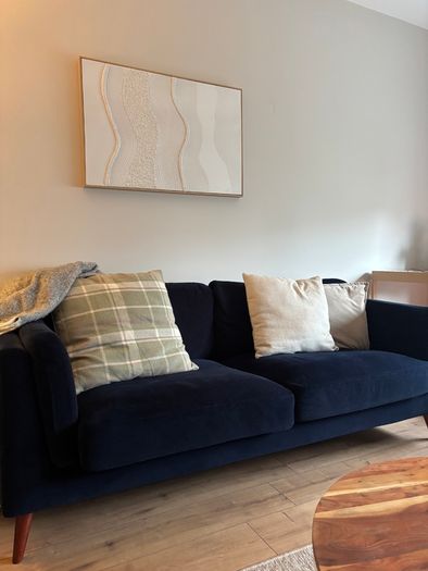 Navy Couch