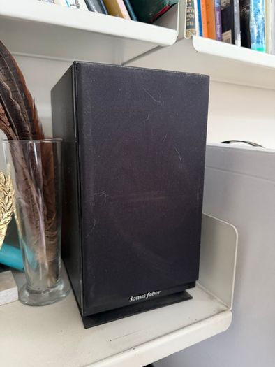 Sonus Faber Lumina V's