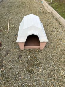 Kennel