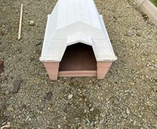 Kennel