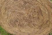 Hay for sale near roadside