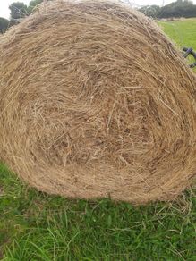 Hay for sale near roadside