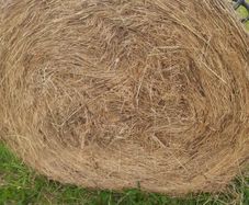 Hay for sale near roadside