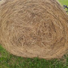 Hay for sale near roadside
