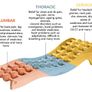 BackRack - Back Pain Relief Image 6