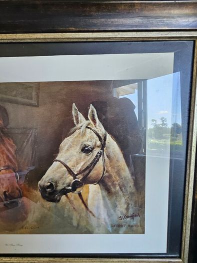 Trio of Racehorses