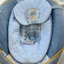 Baby Rocker Image 2