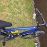 Trek dual sport  2 Image 4