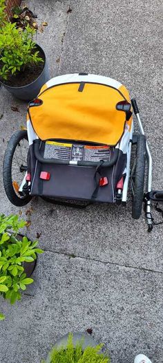 Bike Trailer - Giant Peapod Double