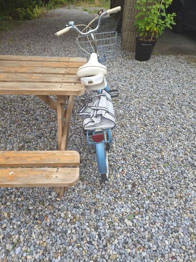 raleigh Saphire