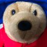 paddington bear Image 9