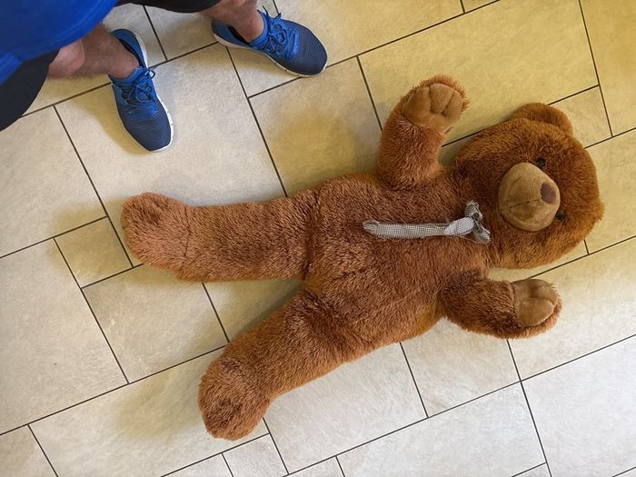 Giant Teddy Bear
