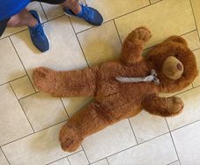 Giant Teddy Bear