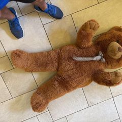 Giant Teddy Bear