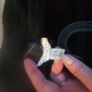 Topshop aviator jacket Image 3