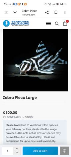 fish tank