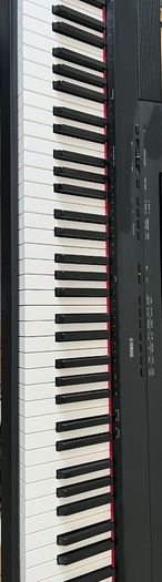 Yamaha Digital Piano P-115
