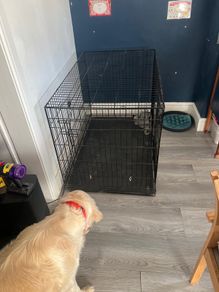 Large Folding Dog Crate