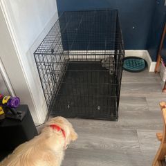 Large Folding Dog Crate