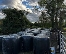 silage bales