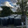 silage Image 2