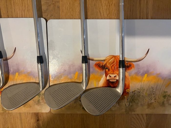 Taylor Made T200 series Irons 4-SW