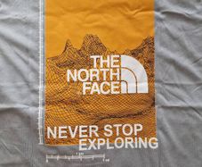 The North Face t-shirt