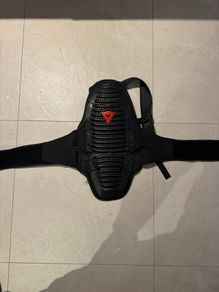 Dainese back protector
