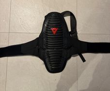 Dainese back protector