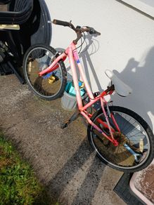 Girls bike