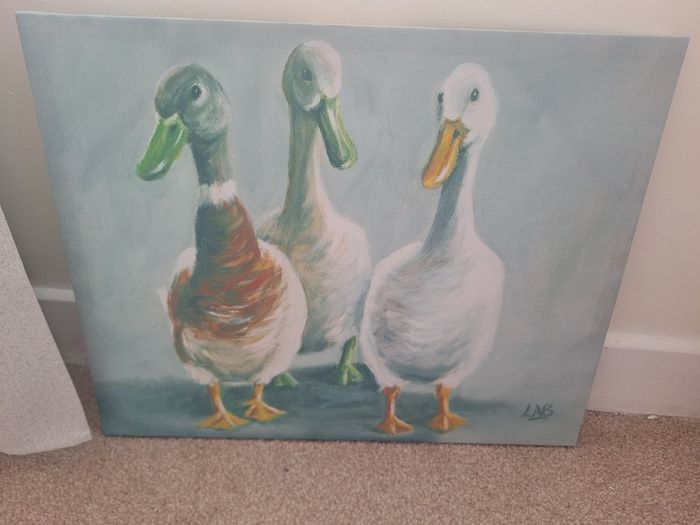 Picture, Ducks