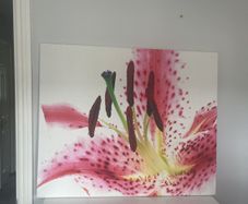 canvas picture