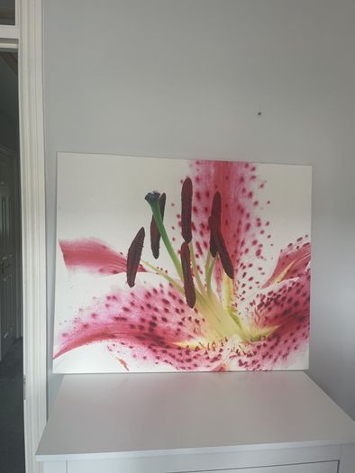 canvas picture