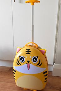 kid luggage