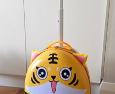 kid luggage